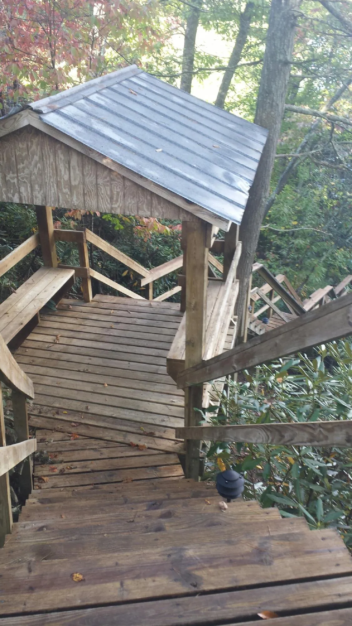 Metal roofed shelter over wooden steps on a wooded walkway — Skylight Repair & Installation work by our crew in Greenleaf
