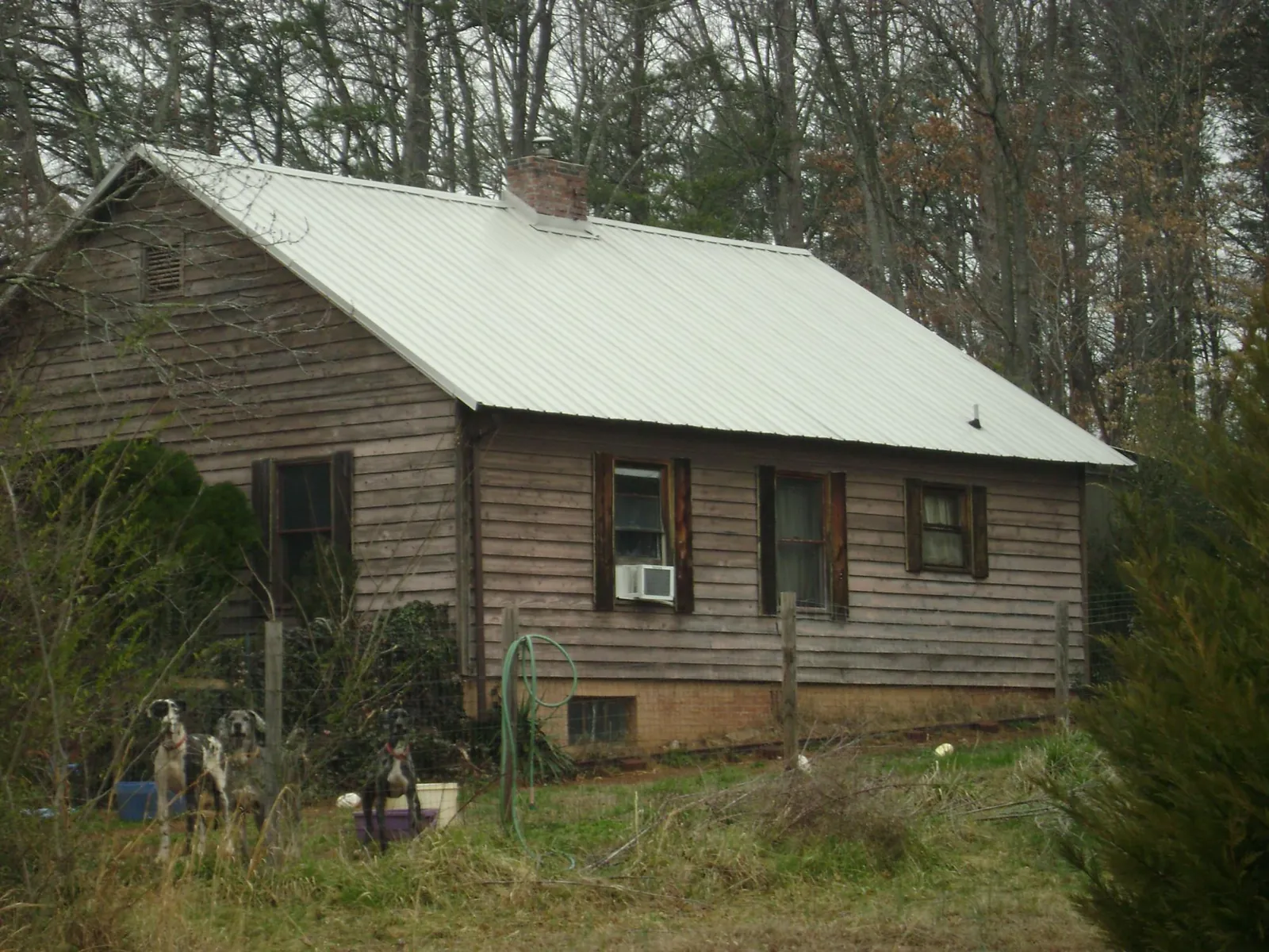 White metal roof on an old wood sided farmhouse, from a Asphalt Shingle Roof Repair job in Greenleaf